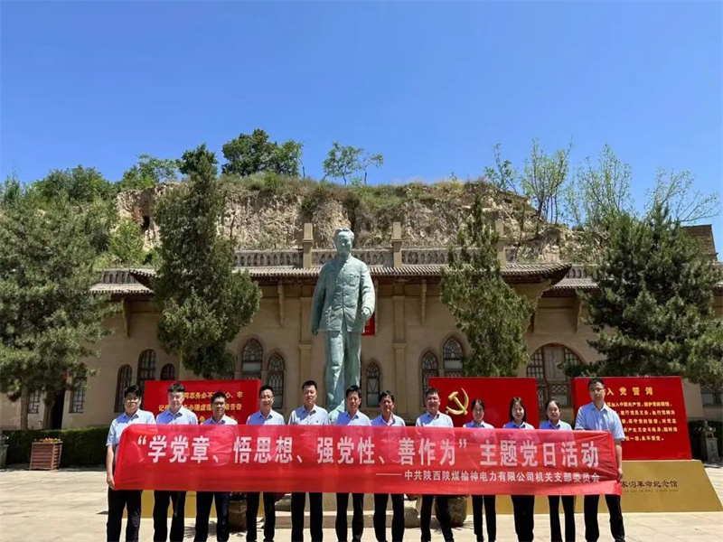 榆神電力公司開展“學(xué)黨章、悟思想、強(qiáng)黨性、善作為”主題黨日活動(dòng).jpg