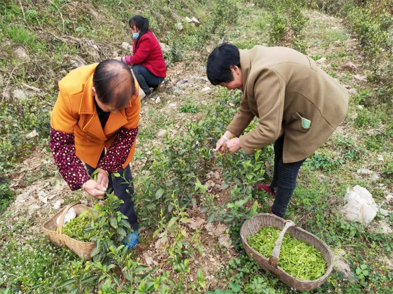 榮譽(yù)丨公司在2022年度省級定點(diǎn)幫扶考核中獲多項榮譽(yù)（3）.jpg
